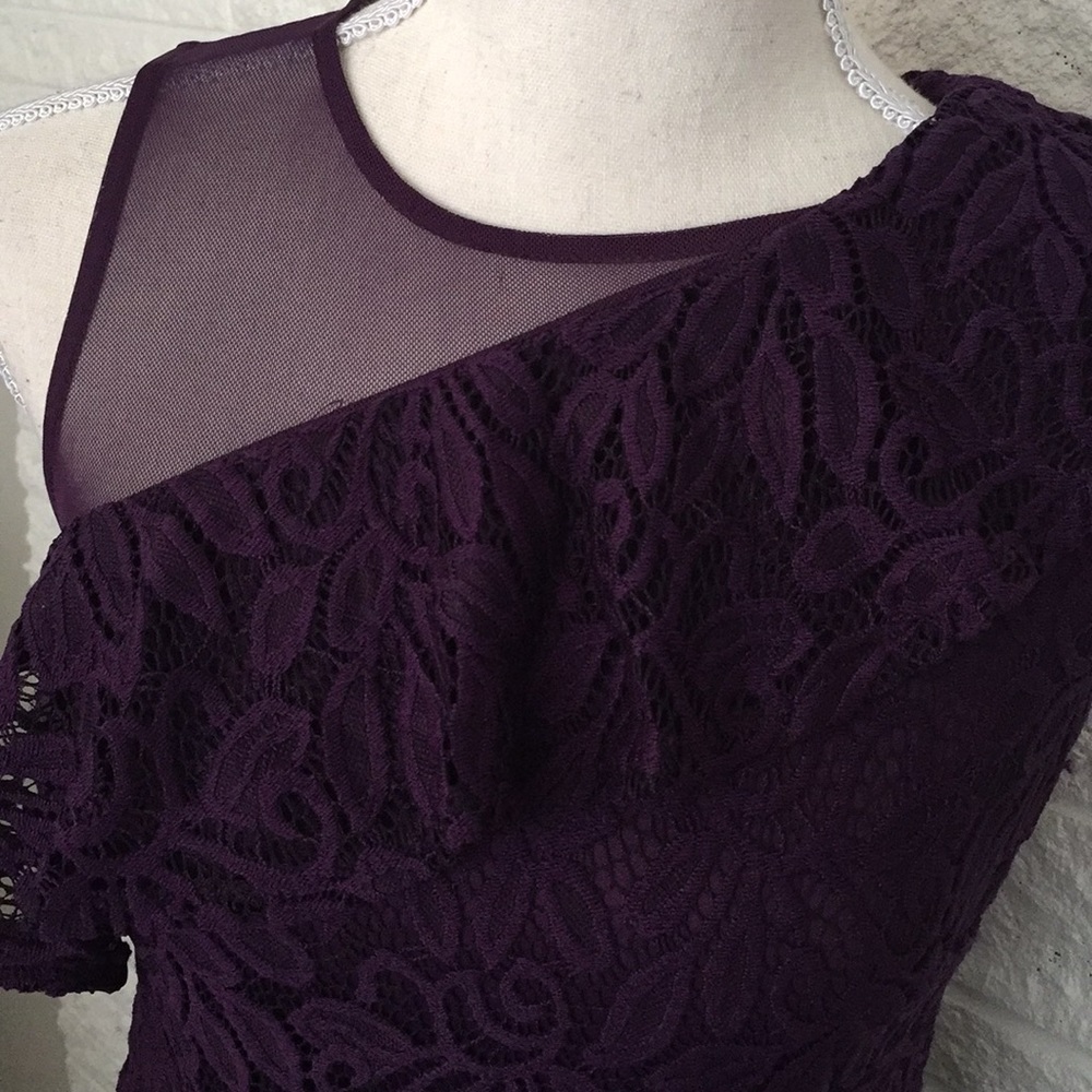 Roz & Ali lace and sheer dress - Picture 2 of 7
